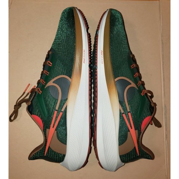 NIKE AIR ZOOM PEGASUS 39 A.I.R. HOLA LOU MEN\'S Size 13 NWOB main image 13